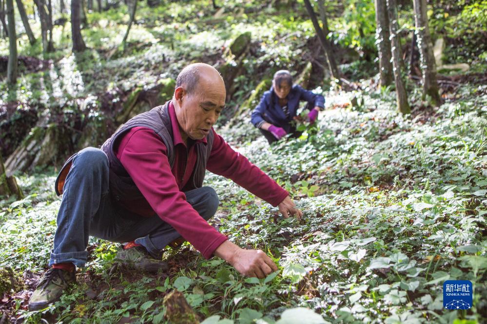 上游棋牌登录不上
